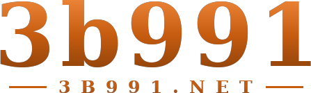 3b991 logo